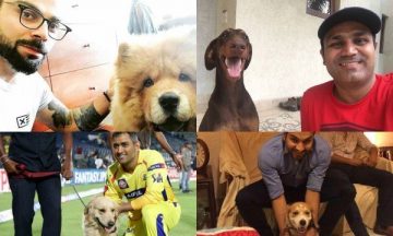 Indian Cricketers with their Dogs Photo Gallery