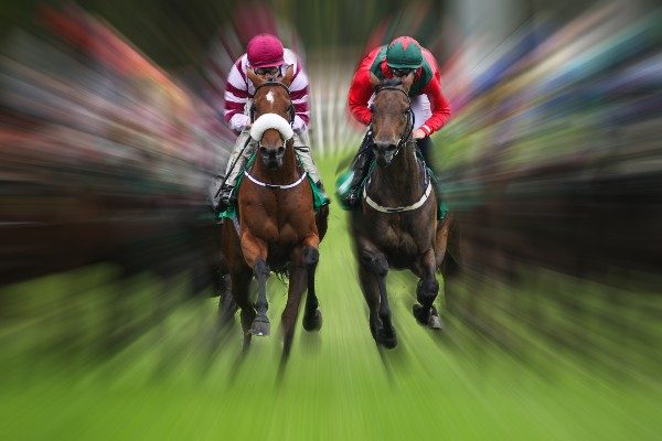 Australian Horse Racing Tips: What To Look For In A Racehorse